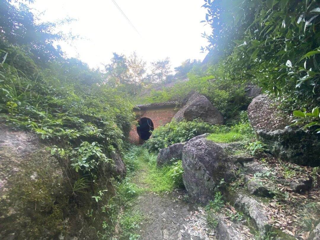 仙居下各镇隐仙庵：古寺禅影里的 “叙事结界”(图15)