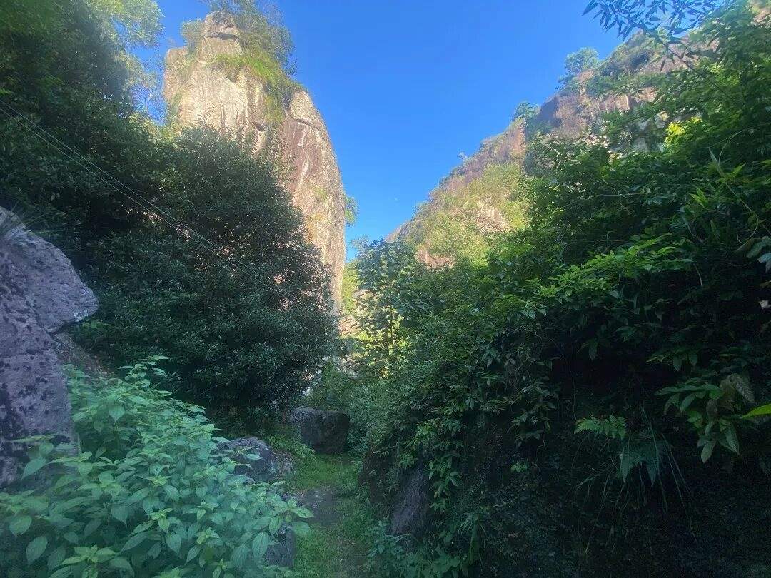 仙居下各镇隐仙庵：古寺禅影里的 “叙事结界”(图16)