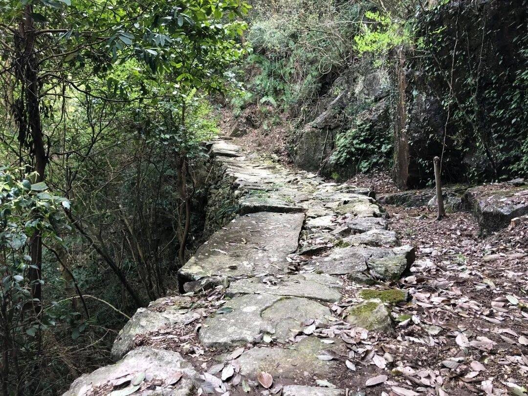 三门龙母山：山海褶皱里的“视听秘境”(图1)