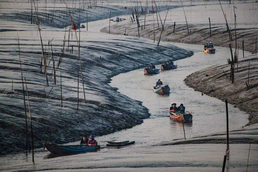 三门栅下S湾：潮滩褶皱里的“耕海片场”(图4)