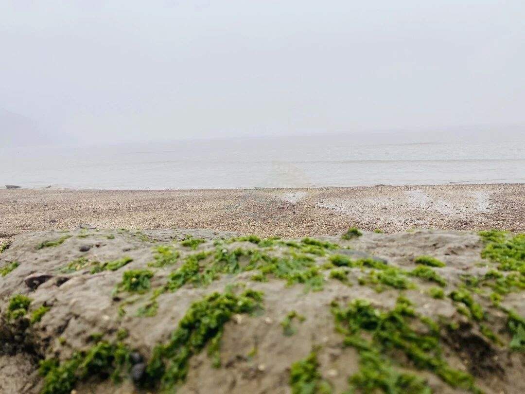 在三门找到雾中海滩！牛轭山的礁与石，藏着电影感(图3)