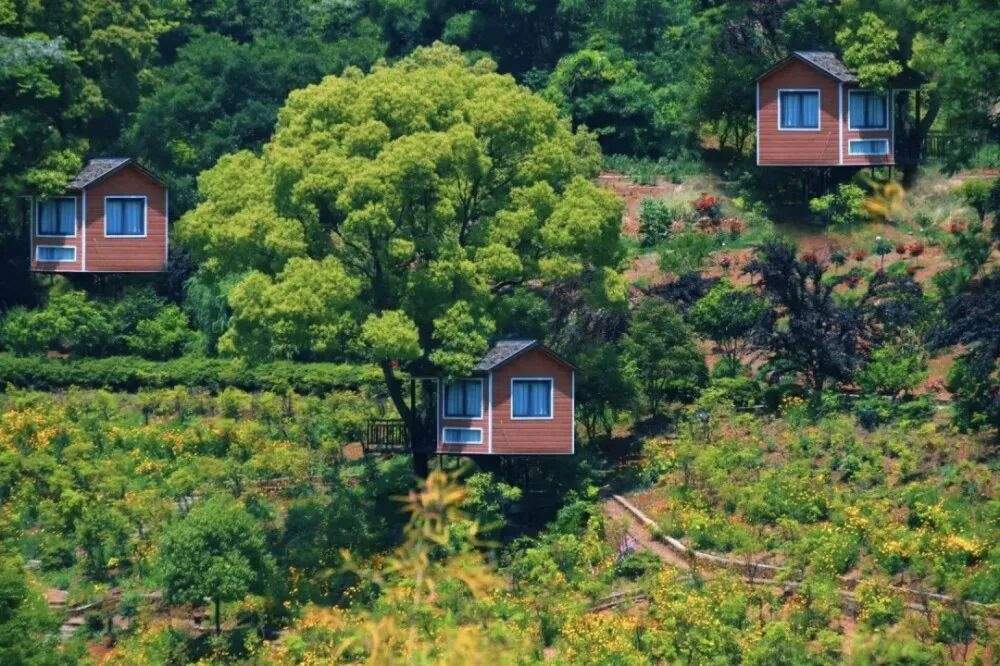 三门沙柳栖心谷:生态基底×人文肌理×光影场域的影视创作坐标系(图5) 三门沙柳栖心谷:生态基底×人文肌理×光影场域的影视创作坐标系(图5)