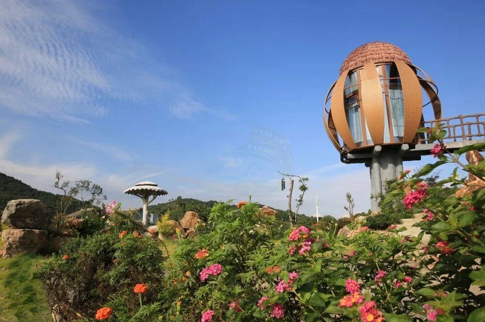 三门沙柳栖心谷:生态基底×人文肌理×光影场域的影视创作坐标系(图7) 三门沙柳栖心谷:生态基底×人文肌理×光影场域的影视创作坐标系(图7)