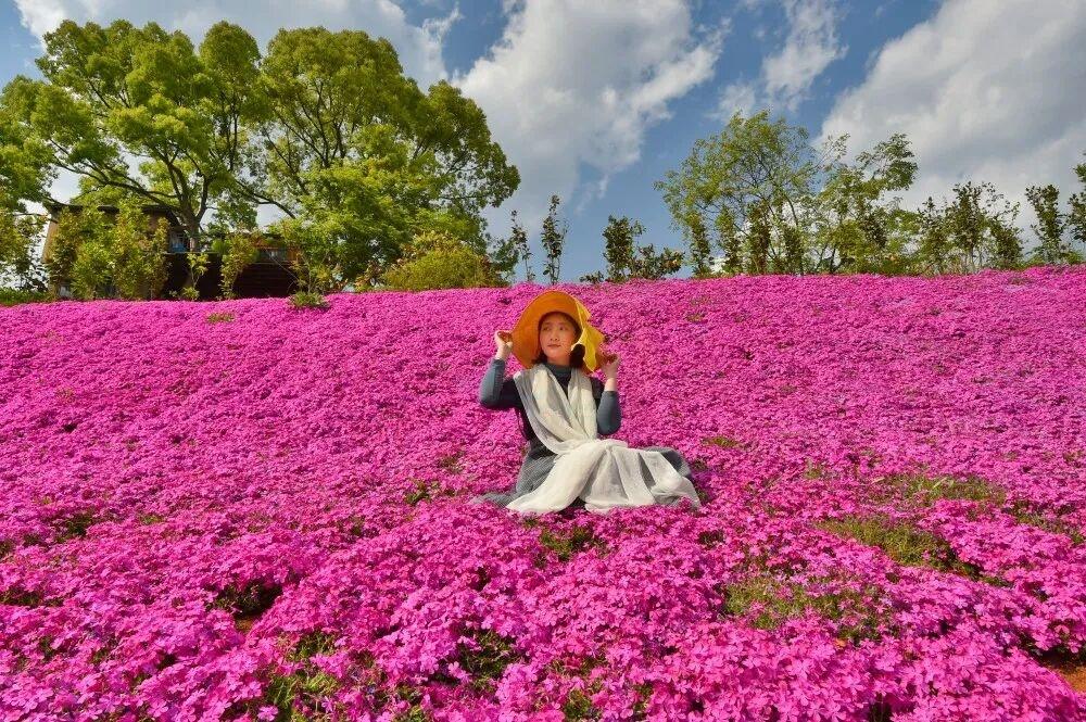 三门沙柳栖心谷：生态基底×人文肌理×光影场域的影视创作坐标系(图8)