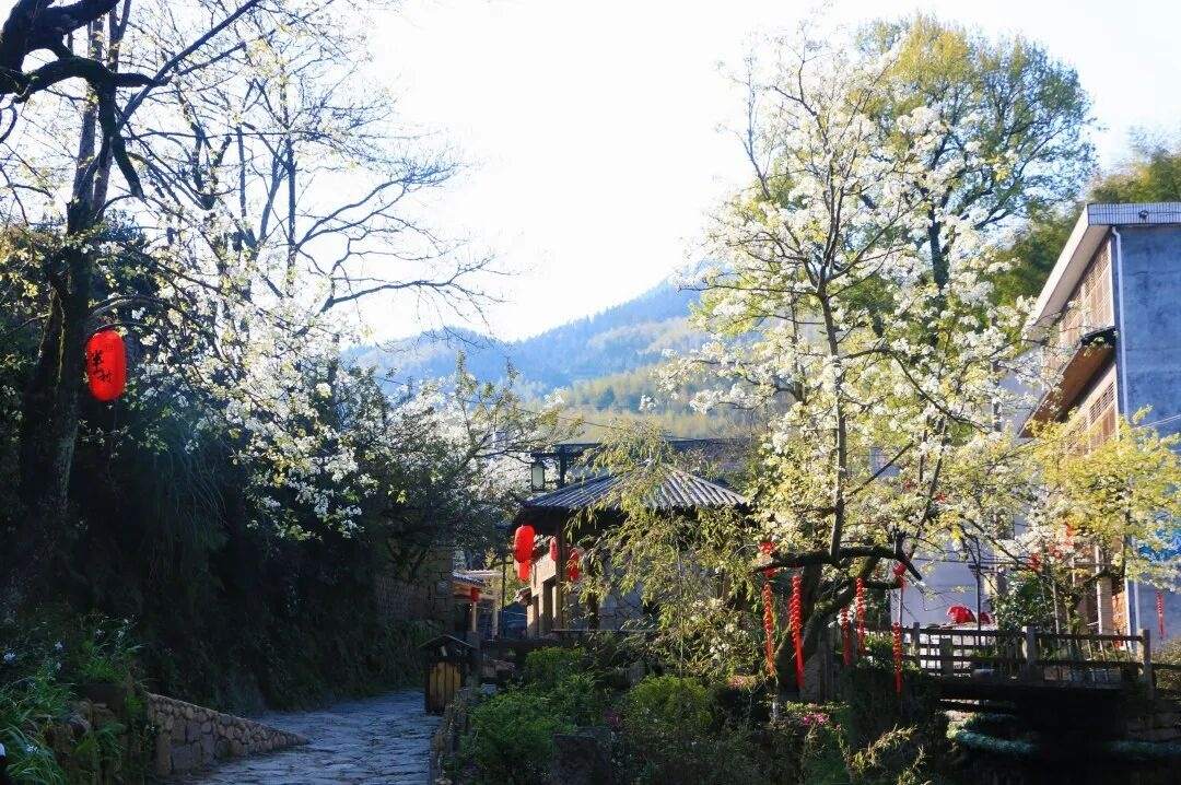 黄岩富山半山古村落，古村如诗，山海为卷（2）(图2)