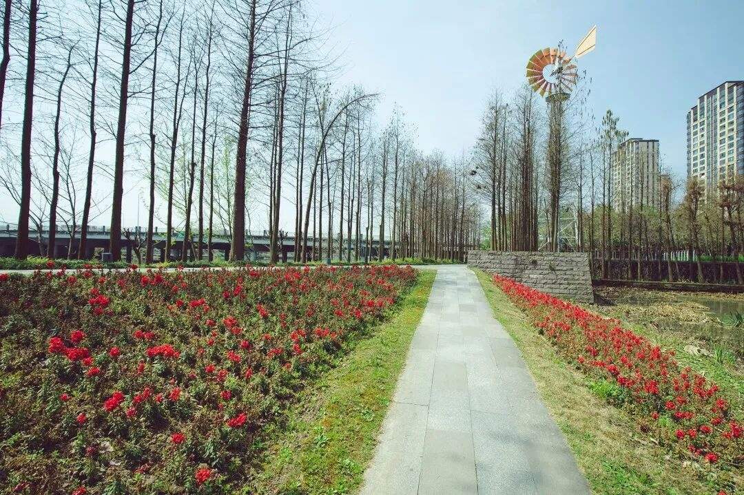 黄岩江北公园：都市里的自然诗画 四季流转的光影画布(图2)