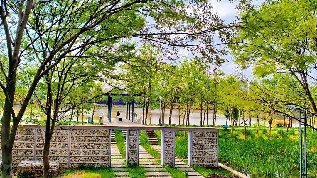 黄岩江北公园：都市里的自然诗画 四季流转的光影画布(图3)