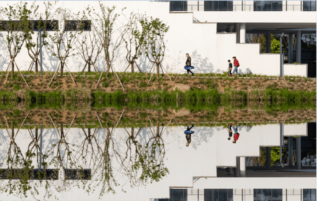 黄岩江北公园：都市里的自然诗画 四季流转的光影画布(图4)