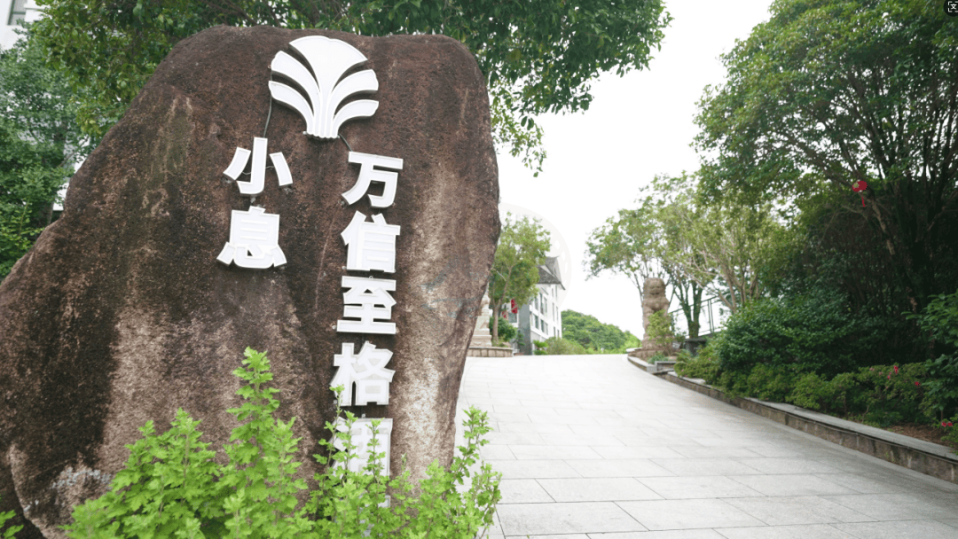 黄岩小息庄园：森林康养与休闲度假结合的影视外景地(图3)