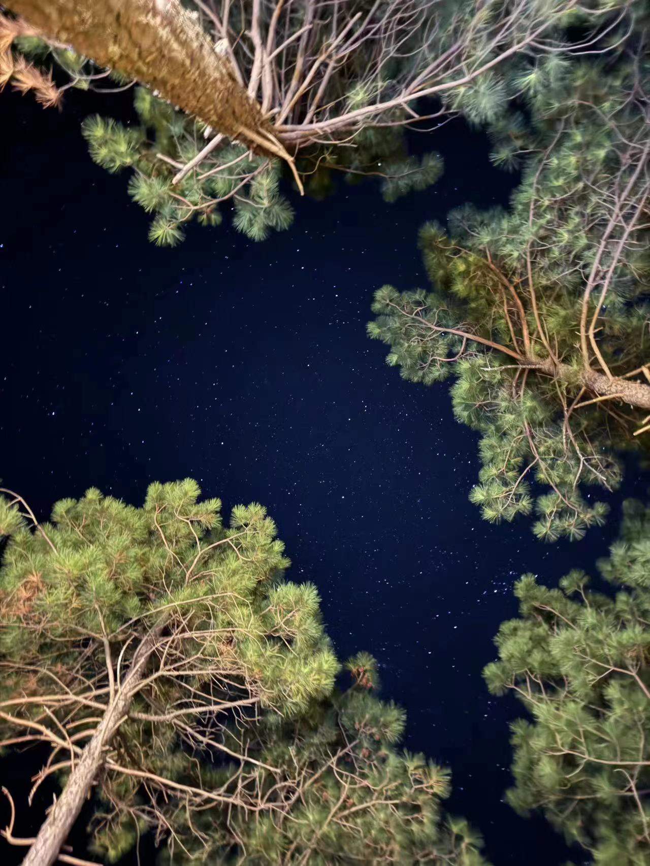 星河为笺，大地作卷｜黄岩摘星谷，解锁“星空叙事+自然野趣”影视新维度(图40)