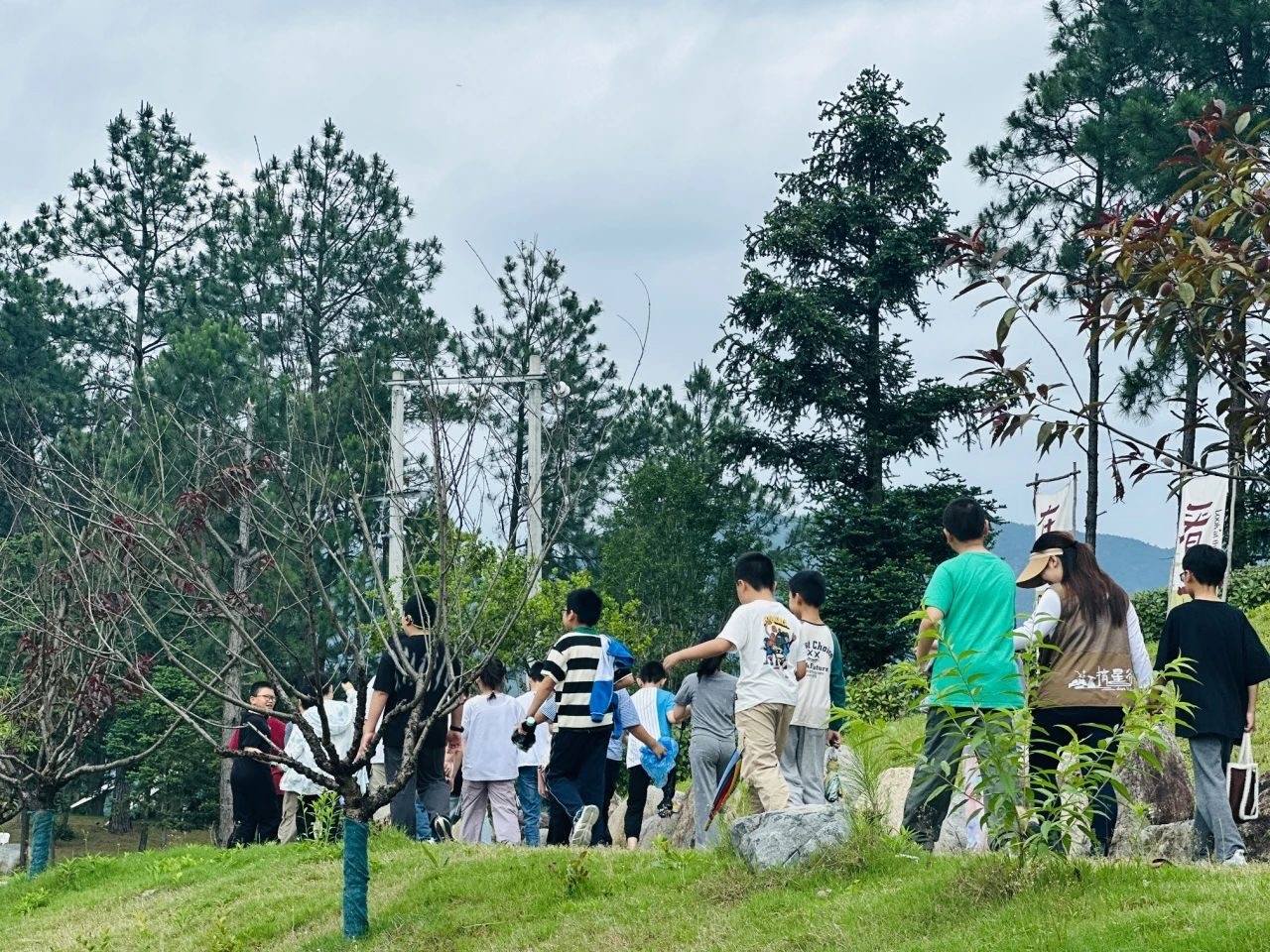 星河为笺，大地作卷｜黄岩摘星谷，解锁“星空叙事+自然野趣”影视新维度(图82)