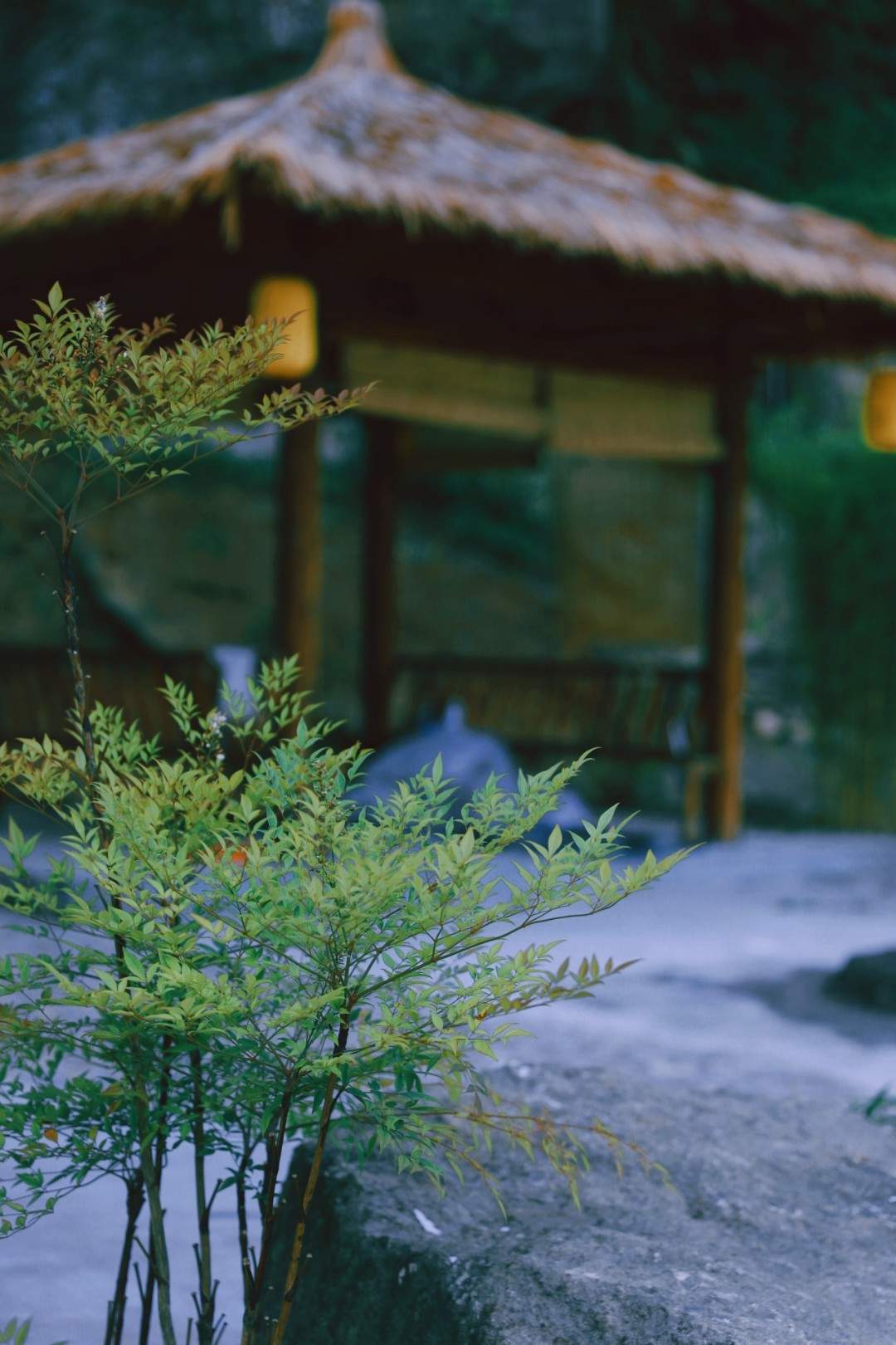 仙居山隐咖啡 - 影视微短剧拍摄的世外桃源(图9) 仙居山隐咖啡 - 影视微短剧拍摄的世外桃源(图9)