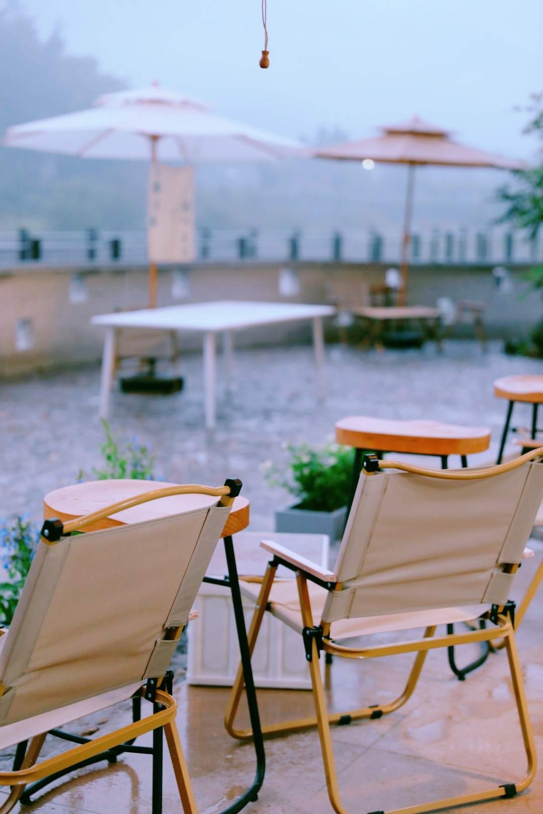 仙居山隐咖啡 - 影视微短剧拍摄的世外桃源(图18) 仙居山隐咖啡 - 影视微短剧拍摄的世外桃源(图18)