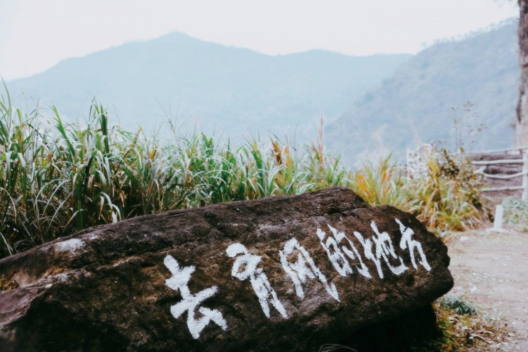 仙居山隐咖啡 - 影视微短剧拍摄的世外桃源(图30) 仙居山隐咖啡 - 影视微短剧拍摄的世外桃源(图30)