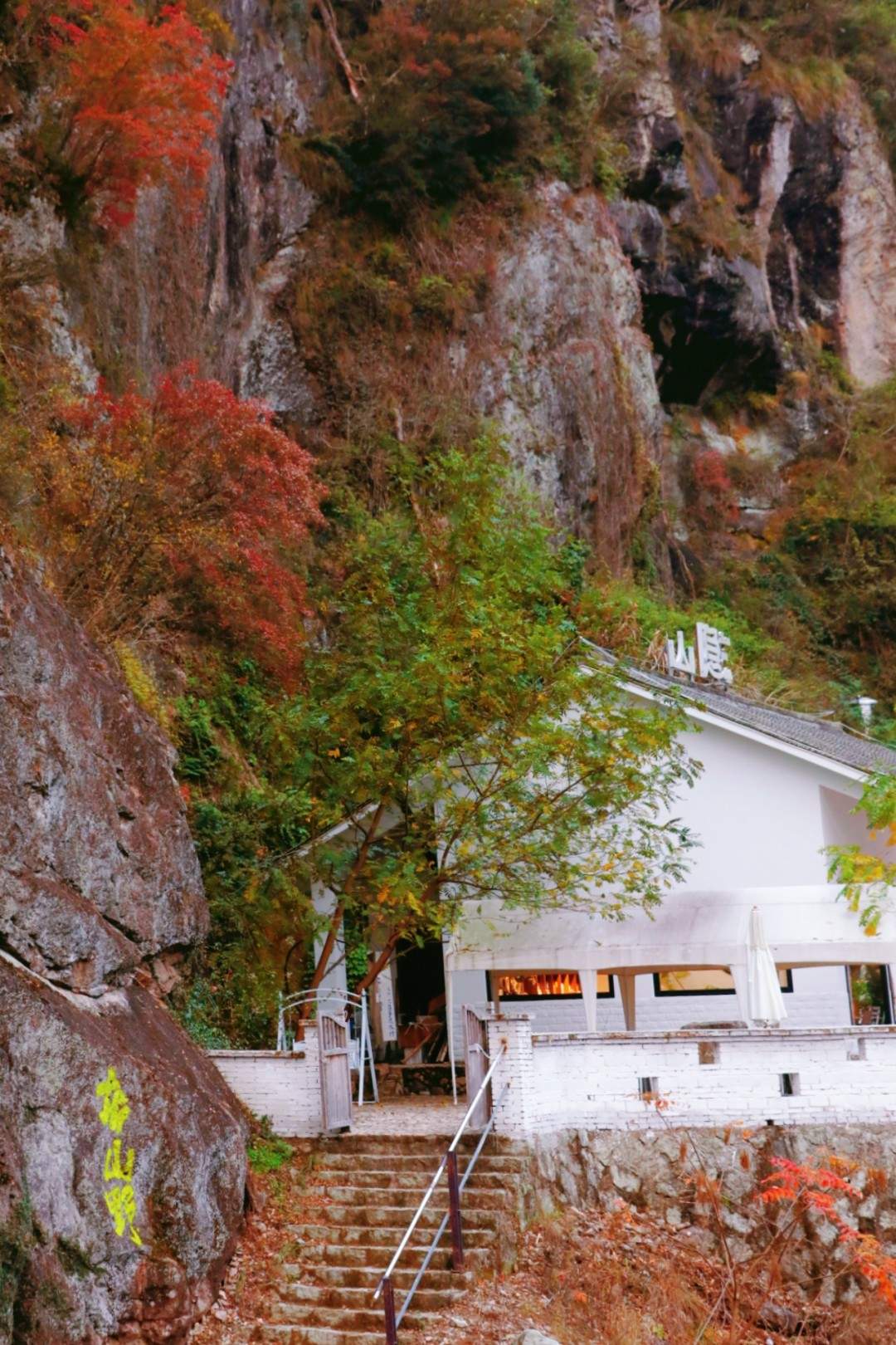 仙居山隐咖啡 - 影视微短剧拍摄的世外桃源(图29) 仙居山隐咖啡 - 影视微短剧拍摄的世外桃源(图29)