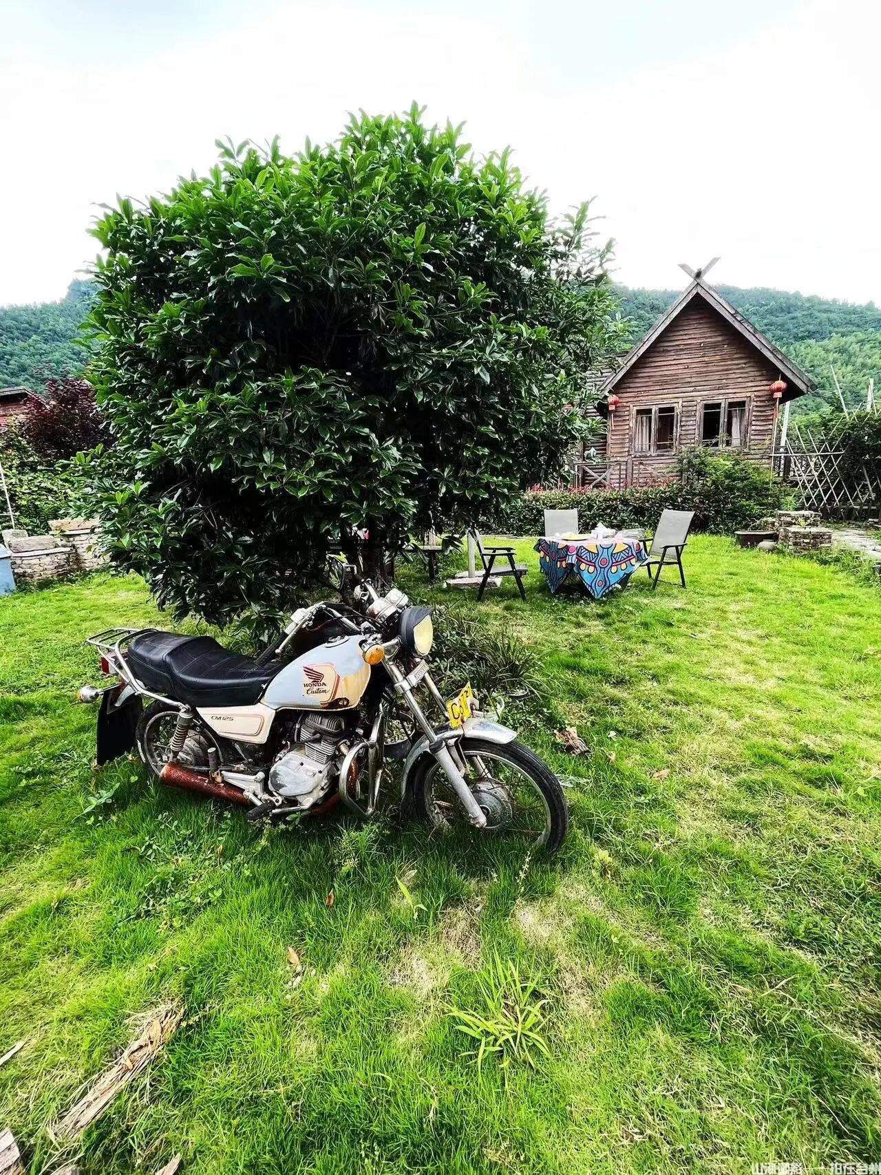 仙居枫溪山庄：四季皆景，影视创作天然画境(图14)