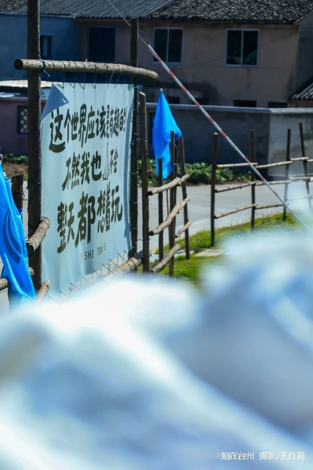 路桥区峰江街道白枫岙村如意柿界：路桥乡村田园影视取景的诗意之地；(图5)