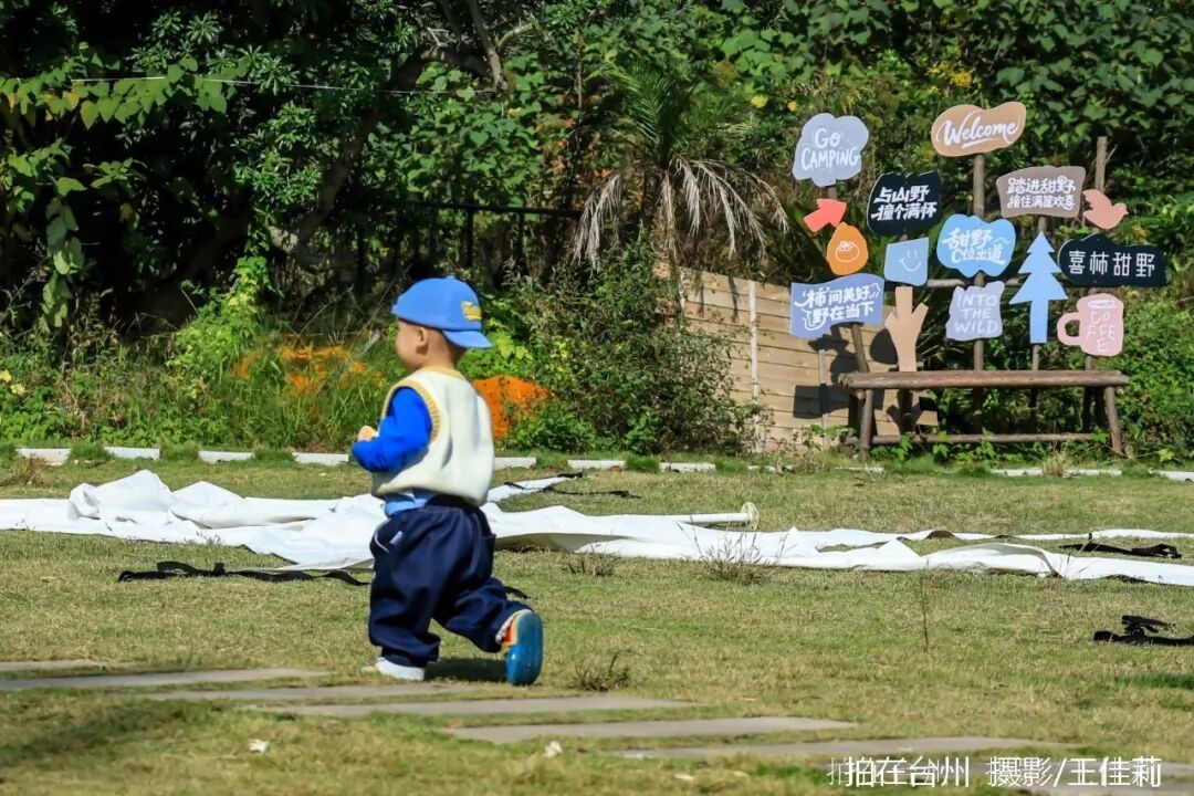 路桥区峰江街道白枫岙村如意柿界：路桥乡村田园影视取景的诗意之地；(图8)