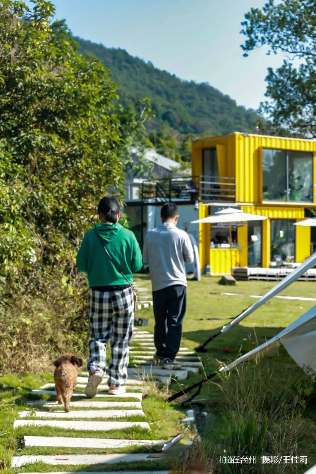 路桥区峰江街道白枫岙村如意柿界：路桥乡村田园影视取景的诗意之地；(图9)