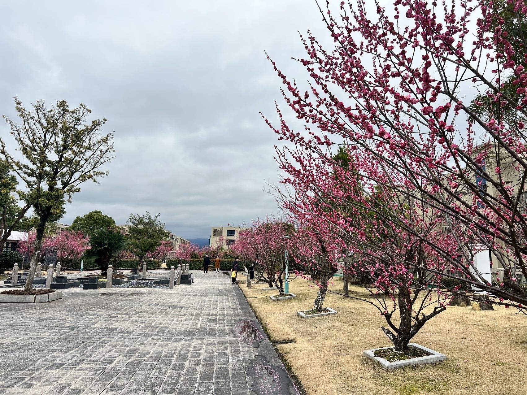 浙东休闲家居城空中花园 (图2)