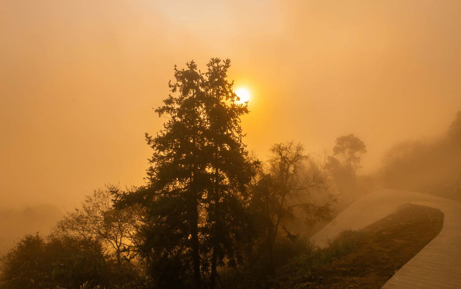 临海市汇溪镇龙隐云海(图15)