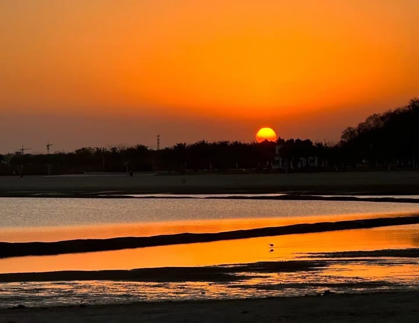 白沙湾海滨公园/沙滩/日出日落/情绪治愈(图5)