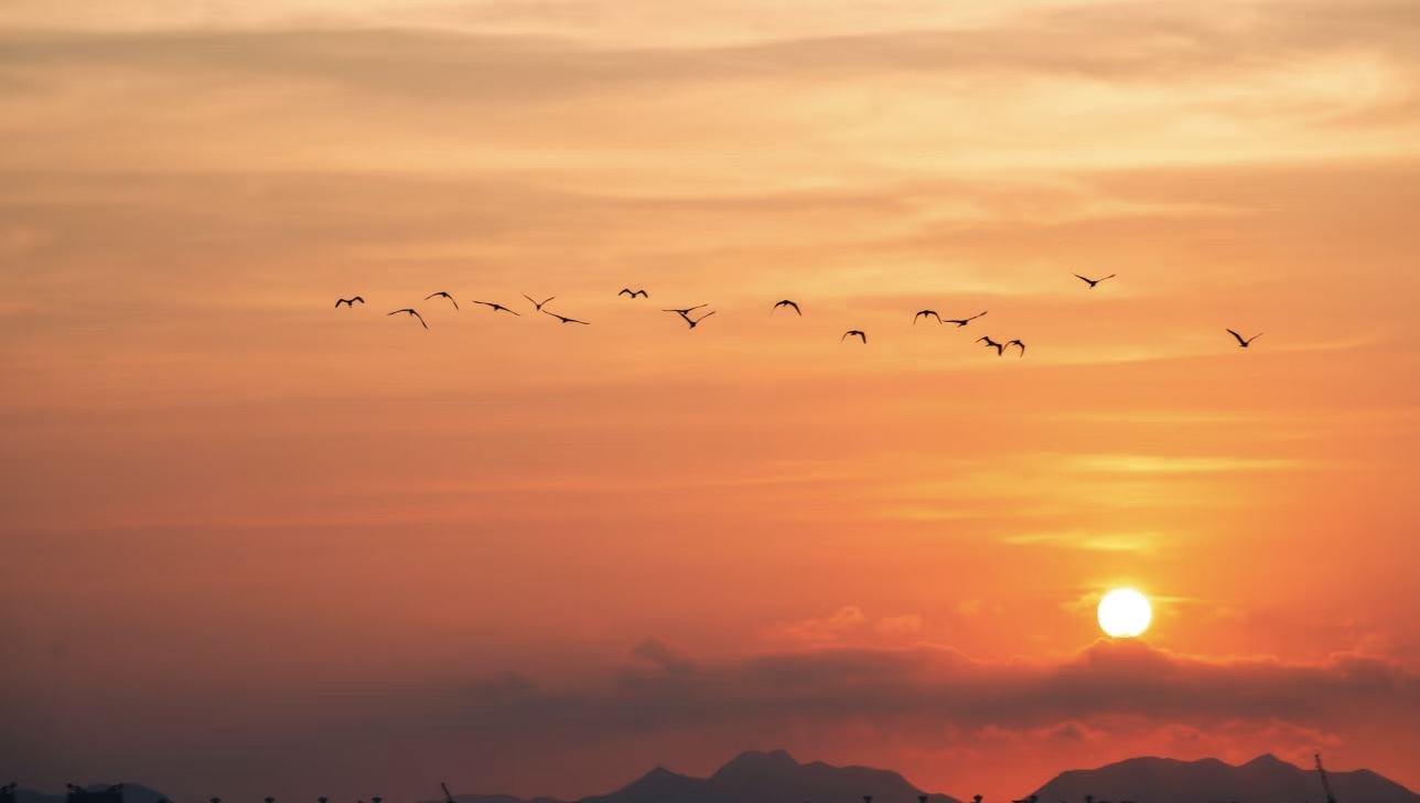 临海上盘头门港堤坝/海洋/日出日落/情绪(图1)