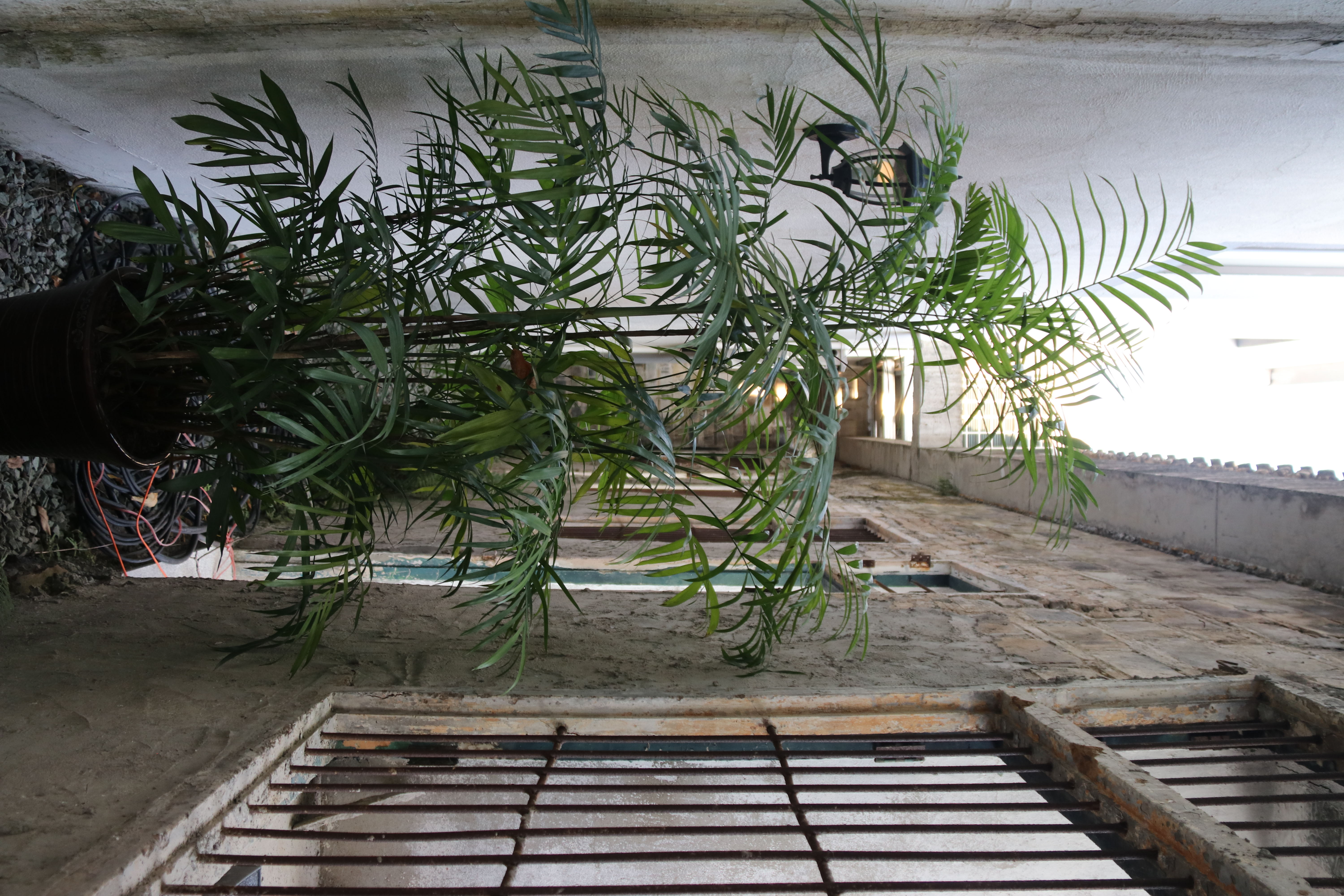 老街三寻图书馆(图17)