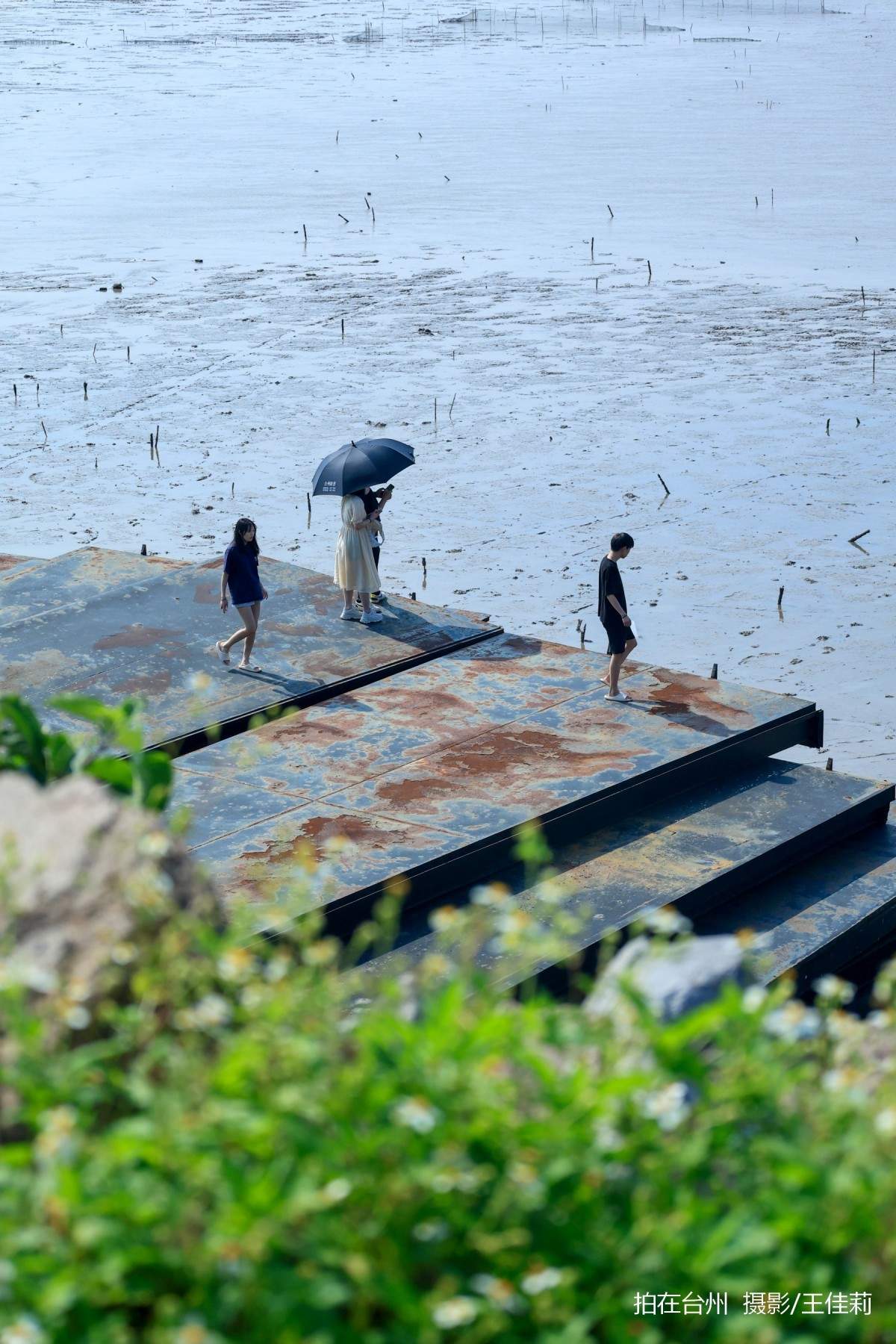 路桥金清滩涂赶海地，海洋人文影视取景(图1)