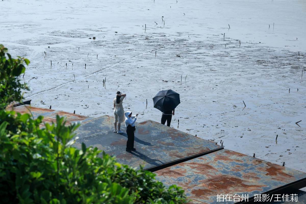 路桥金清滩涂赶海地，海洋人文影视取景(图10)
