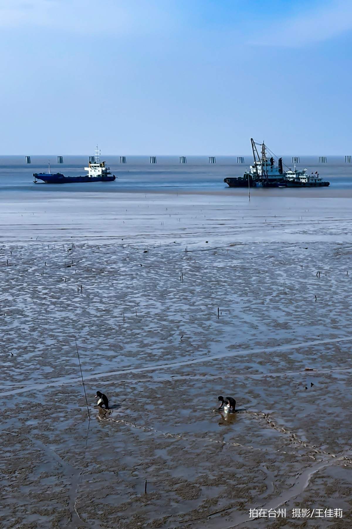 路桥金清滩涂赶海地，海洋人文影视取景(图8)