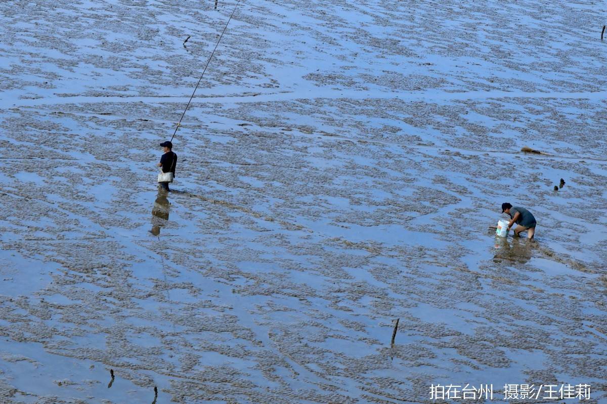 路桥金清滩涂赶海地，海洋人文影视取景(图7)