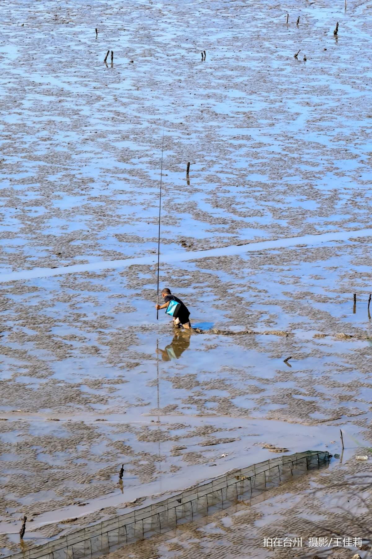 路桥金清滩涂赶海地，海洋人文影视取景(图6)