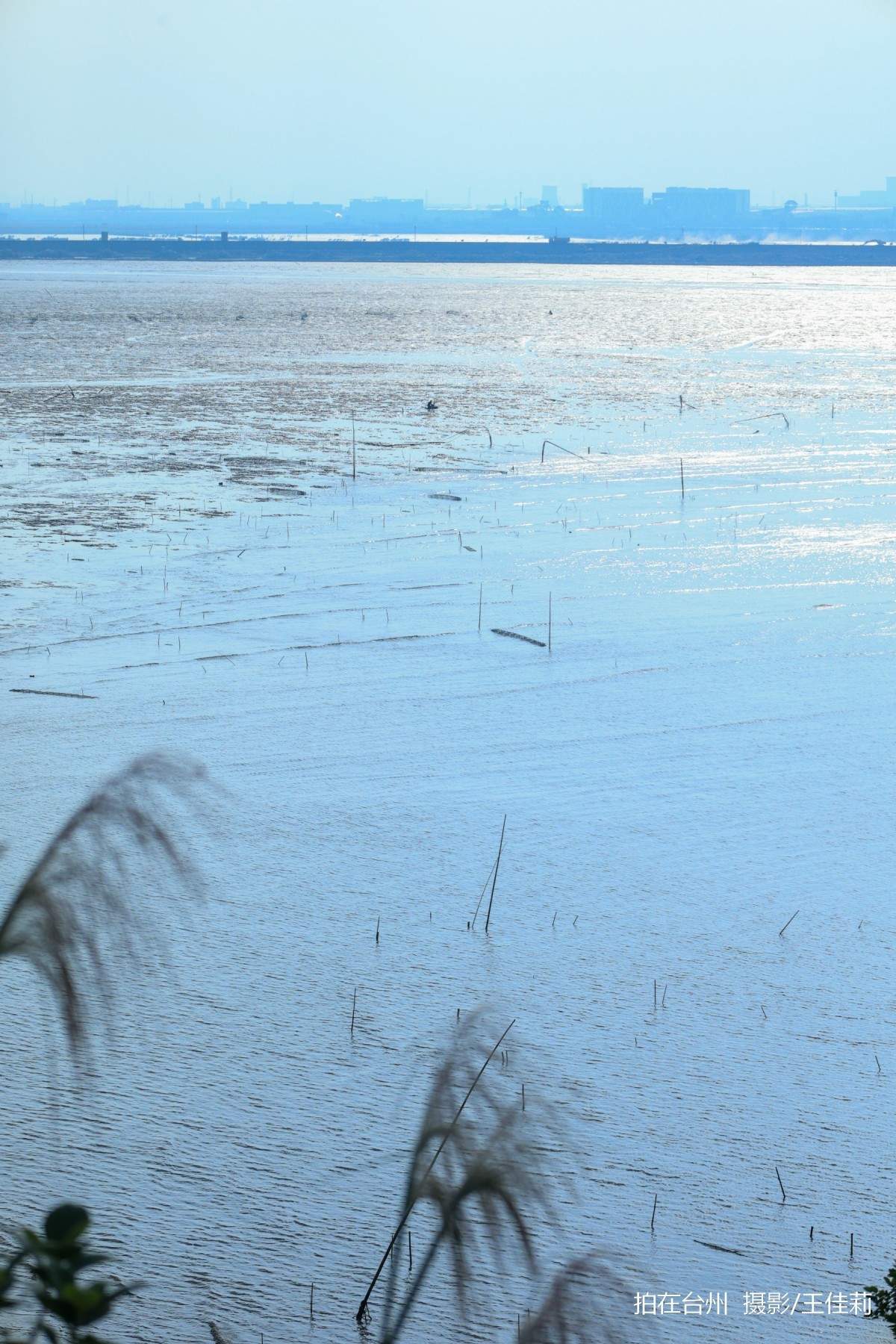 路桥金清滩涂赶海地，海洋人文影视取景(图2)