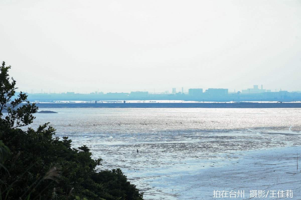 路桥金清滩涂赶海地，海洋人文影视取景(图4)