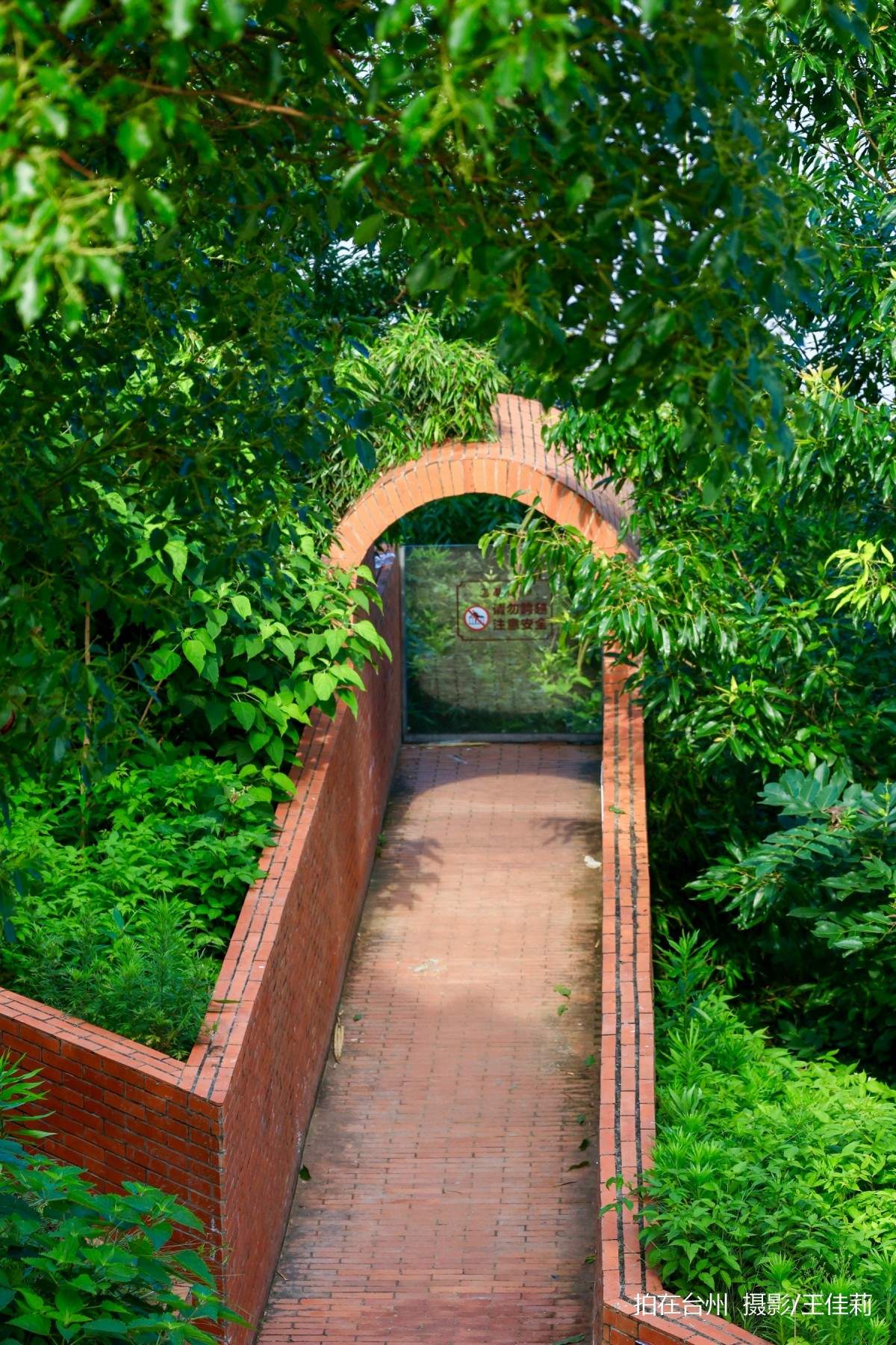 碧海长天映光影——金清黄廊灯塔影视取景地专业解析(图7)