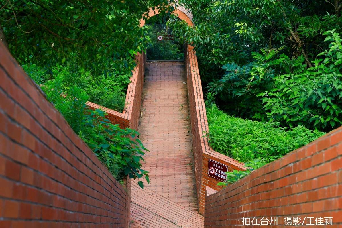 碧海长天映光影——金清黄廊灯塔影视取景地专业解析(图8)