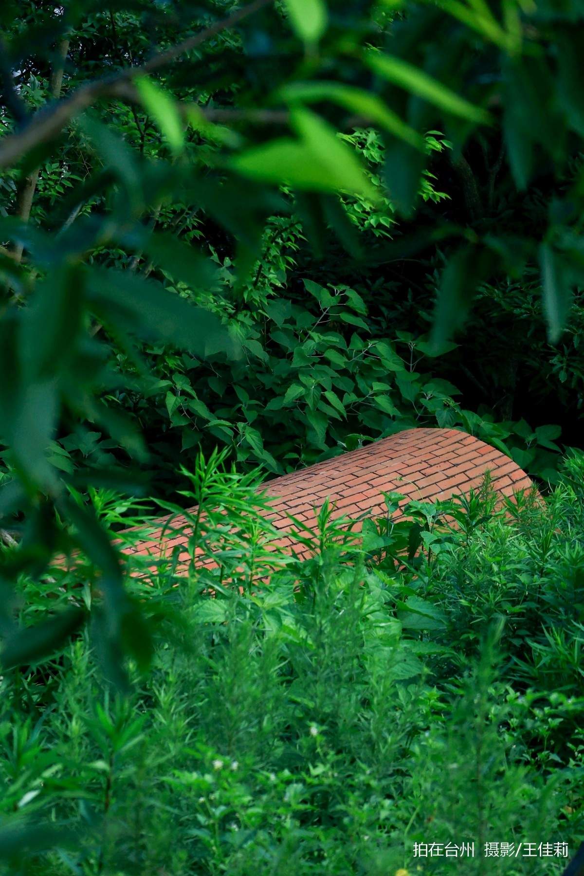 碧海长天映光影——金清黄廊灯塔影视取景地专业解析(图9)