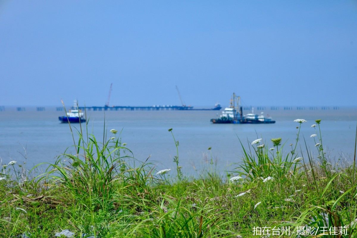 龙泰青年艺术海岸：解锁工业与自然融合的影视取景新地标(图2)