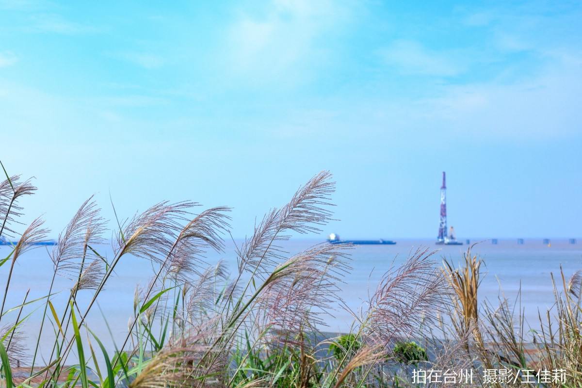 龙泰青年艺术海岸：解锁工业与自然融合的影视取景新地标(图4)