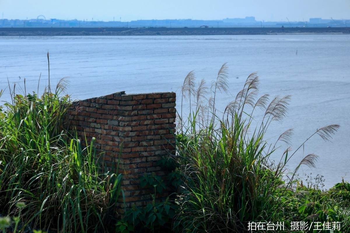 龙泰青年艺术海岸：解锁工业与自然融合的影视取景新地标(图6)