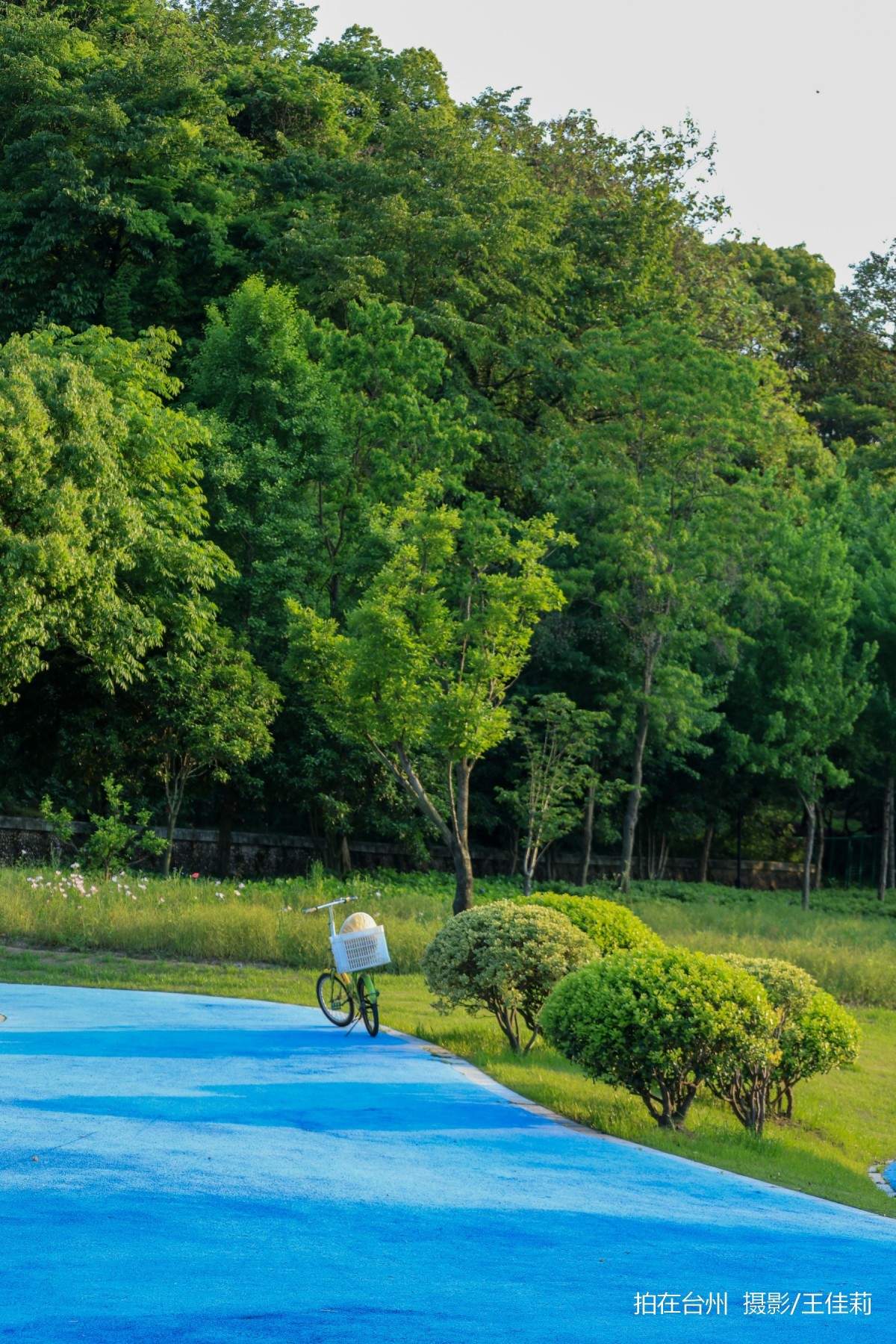 路桥儿童公园:一站式亲子/青春/治愈剧拍摄点位(图2) 路桥儿童公园:一站式亲子/青春/治愈剧拍摄点位(图2)