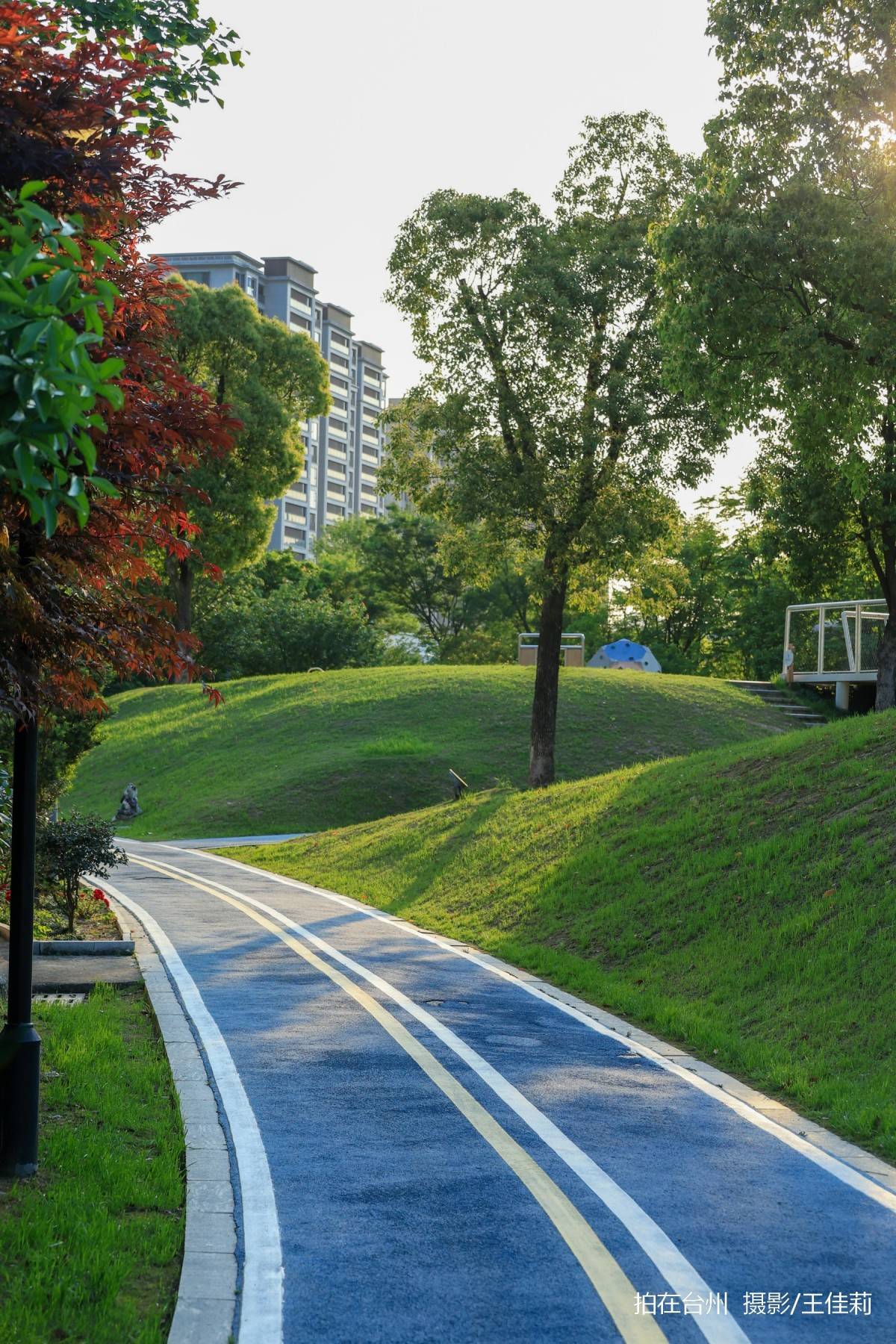 路桥儿童公园:一站式亲子/青春/治愈剧拍摄点位(图7) 路桥儿童公园:一站式亲子/青春/治愈剧拍摄点位(图7)