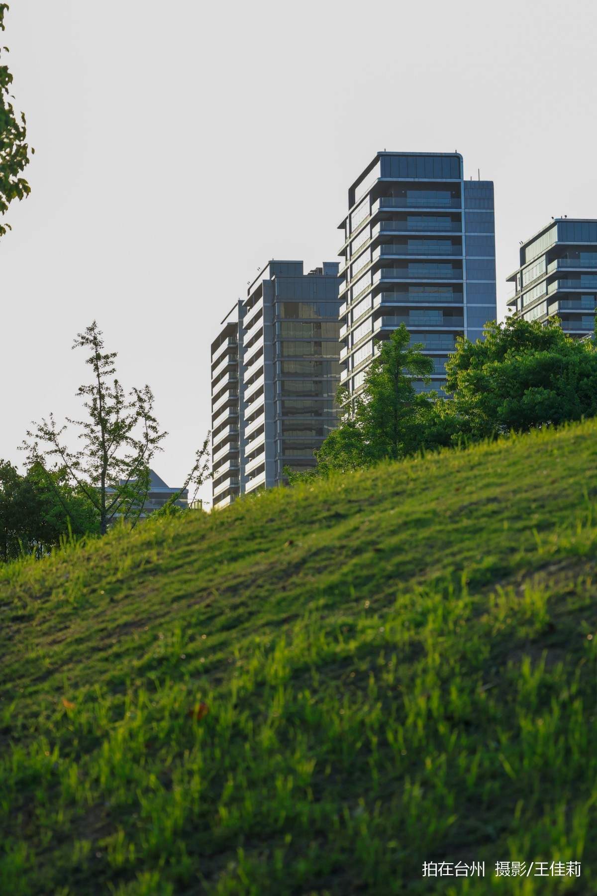 路桥儿童公园:一站式亲子/青春/治愈剧拍摄点位(图5) 路桥儿童公园:一站式亲子/青春/治愈剧拍摄点位(图5)