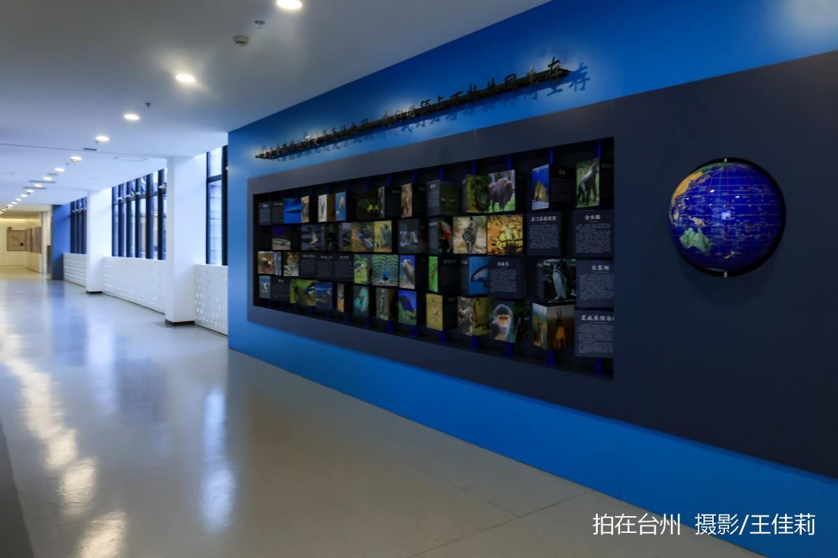 路桥青少年宫:一站式教育/亲子/青春剧拍摄点位(图10) 路桥青少年宫:一站式教育/亲子/青春剧拍摄点位(图10)