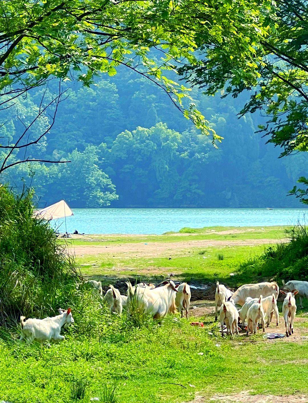 水岸营地 旅游休闲景区(图5)
