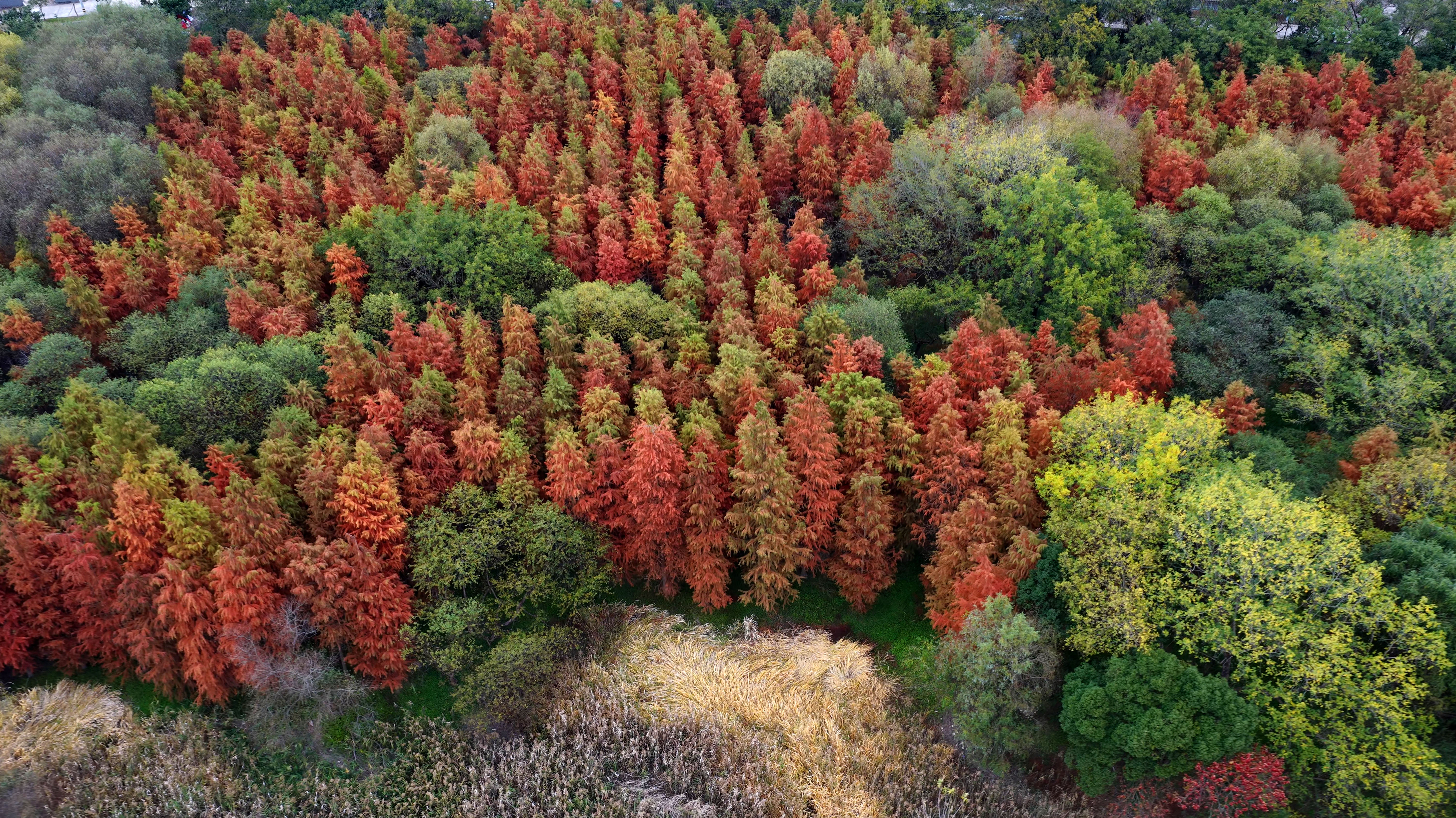 水岸营地 旅游休闲景区(图8)