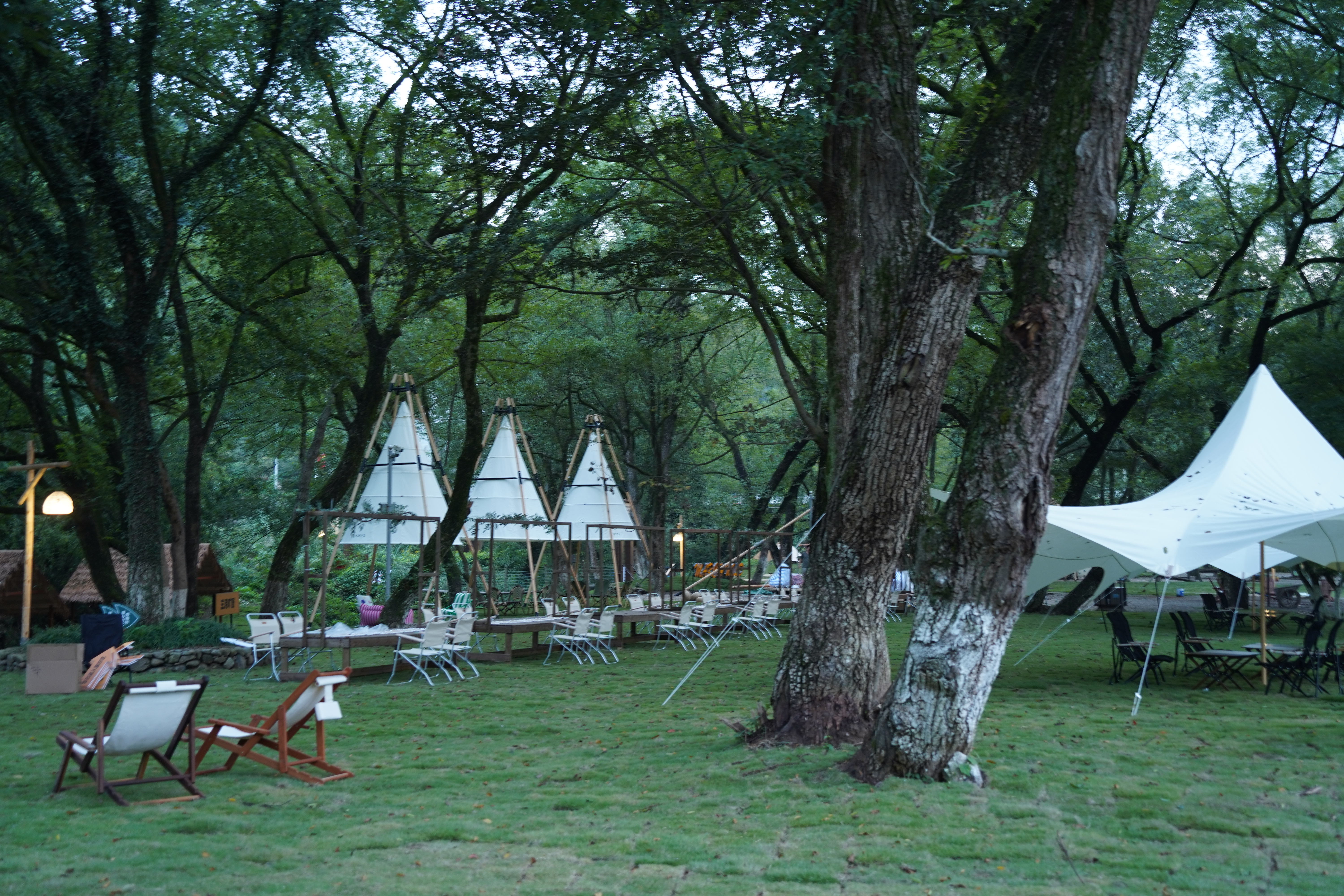 三月旷野·河头营地 旅游休闲景区(图8)