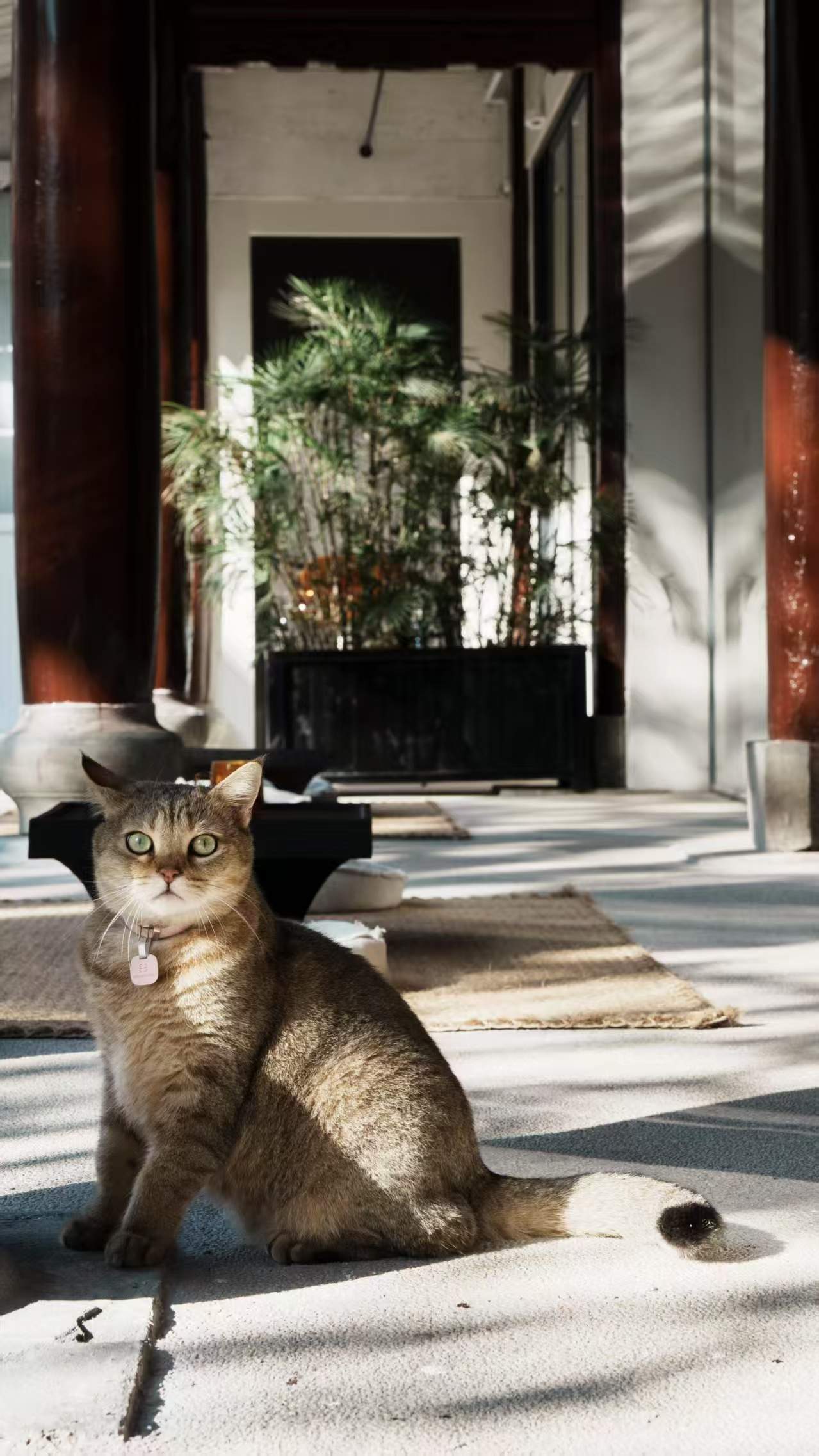 不如方民宿(图4)