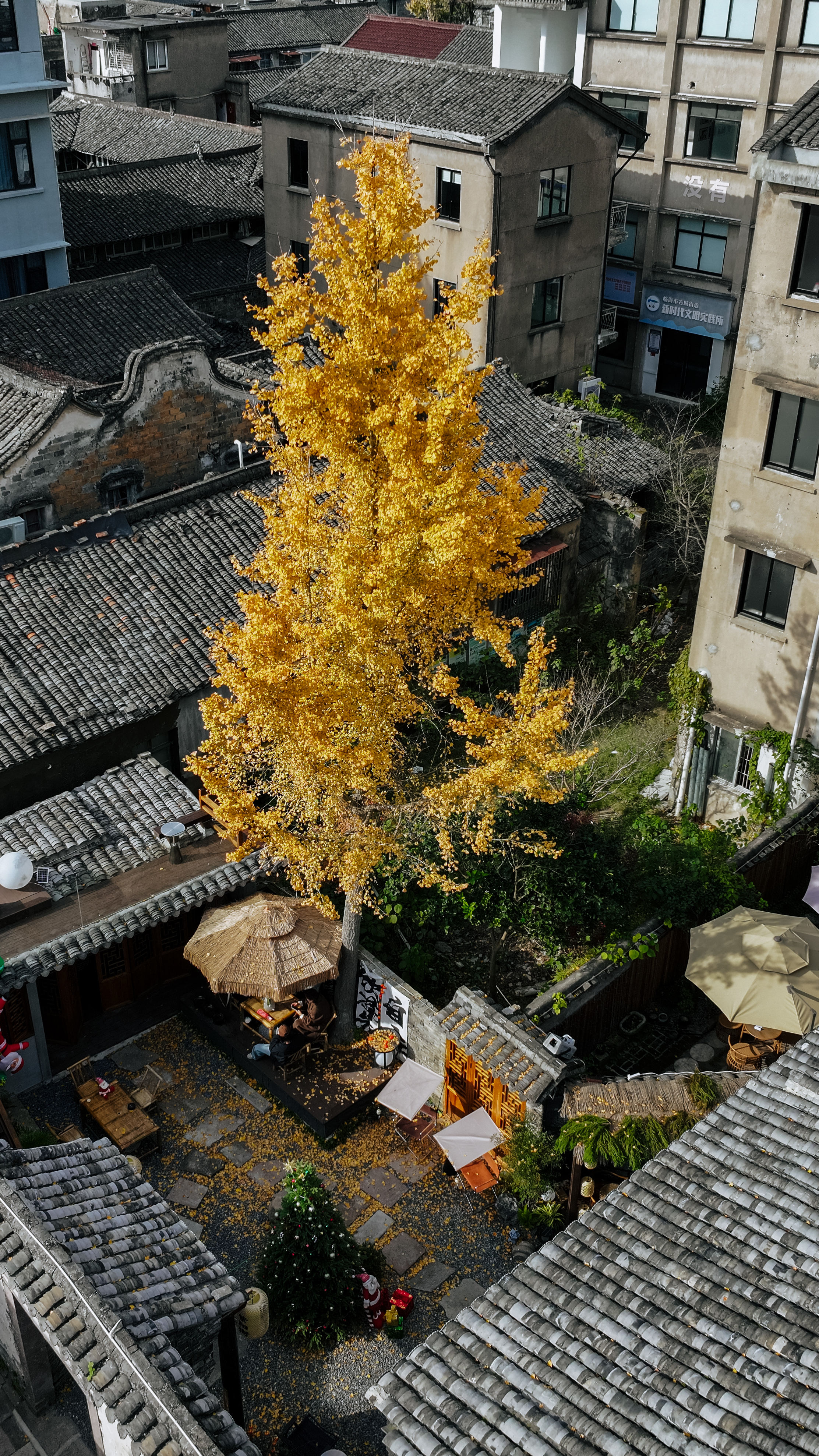 临海古城铜镂辰忆居民宿咖啡(图8)